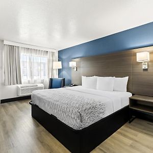 Chambre Accessible aux Personnes à Mobilité Réduite Lit King-Size